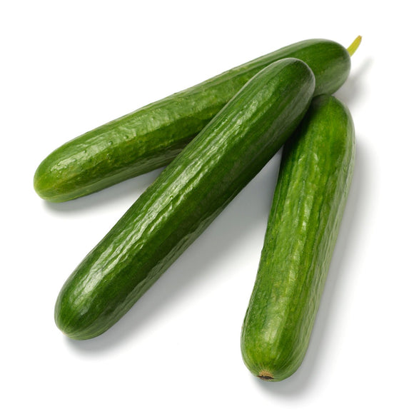 Cucumber Seeds - The Living Seed Company
