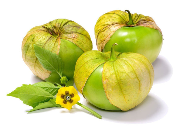Everona Large Green Tomatillo Seeds - Physalis ixocarpa | The Living Seed Company LLC