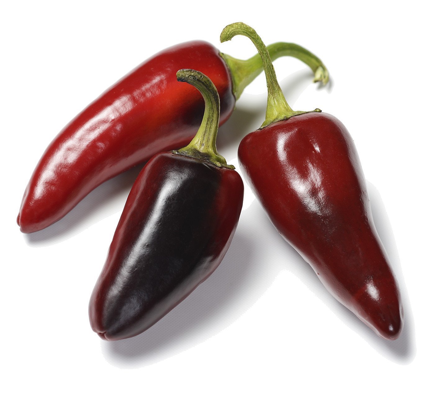 Organic Black Hot Hungarian Pepper Seeds - Capsicum annuum