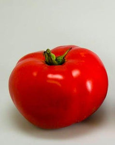 Organic Moskvich Tomato - Lycopersicon lycopersicum | The Living Seed Company LLC