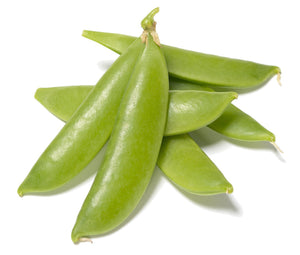 Organic Sugar Daddy Snap Pea Seeds - Pisum sativum | The Living Seed Company LLC