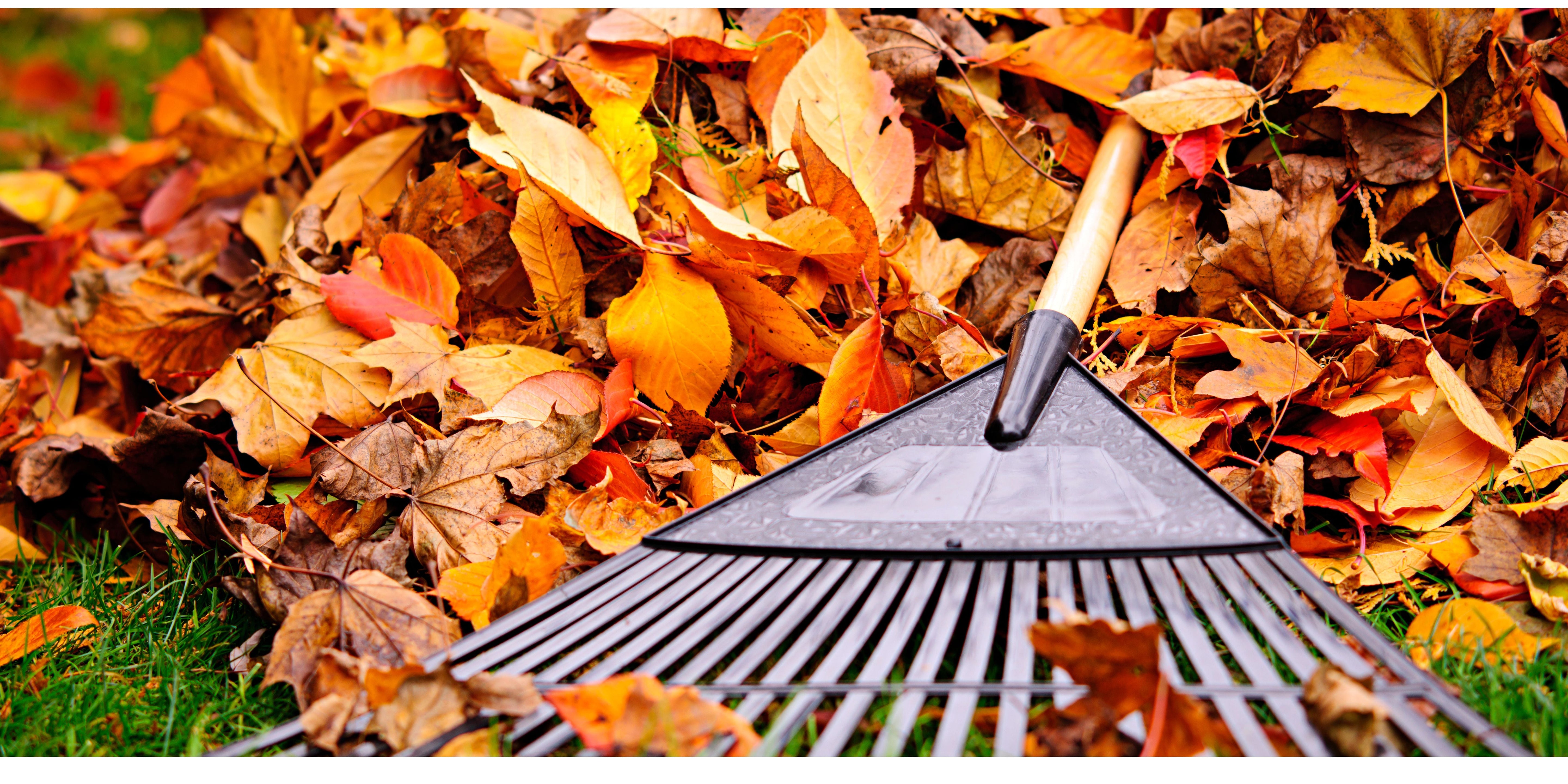 Preparing Your Fall Garden for Winter: Mulching, Soil Building & Water-Wise Tips