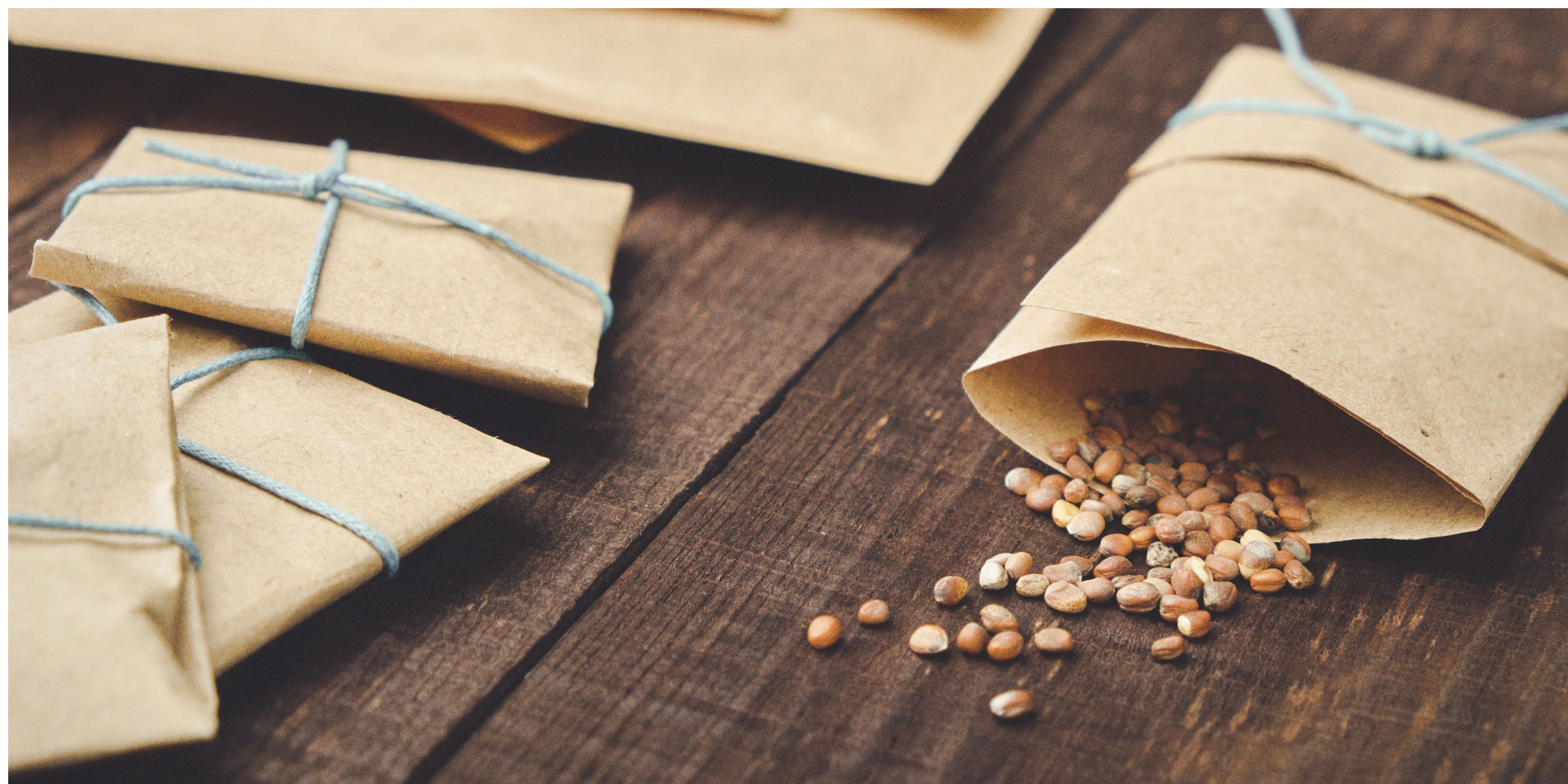 Seed Saving: Preserving Heirloom Seeds, Biodiversity & Our Food Future