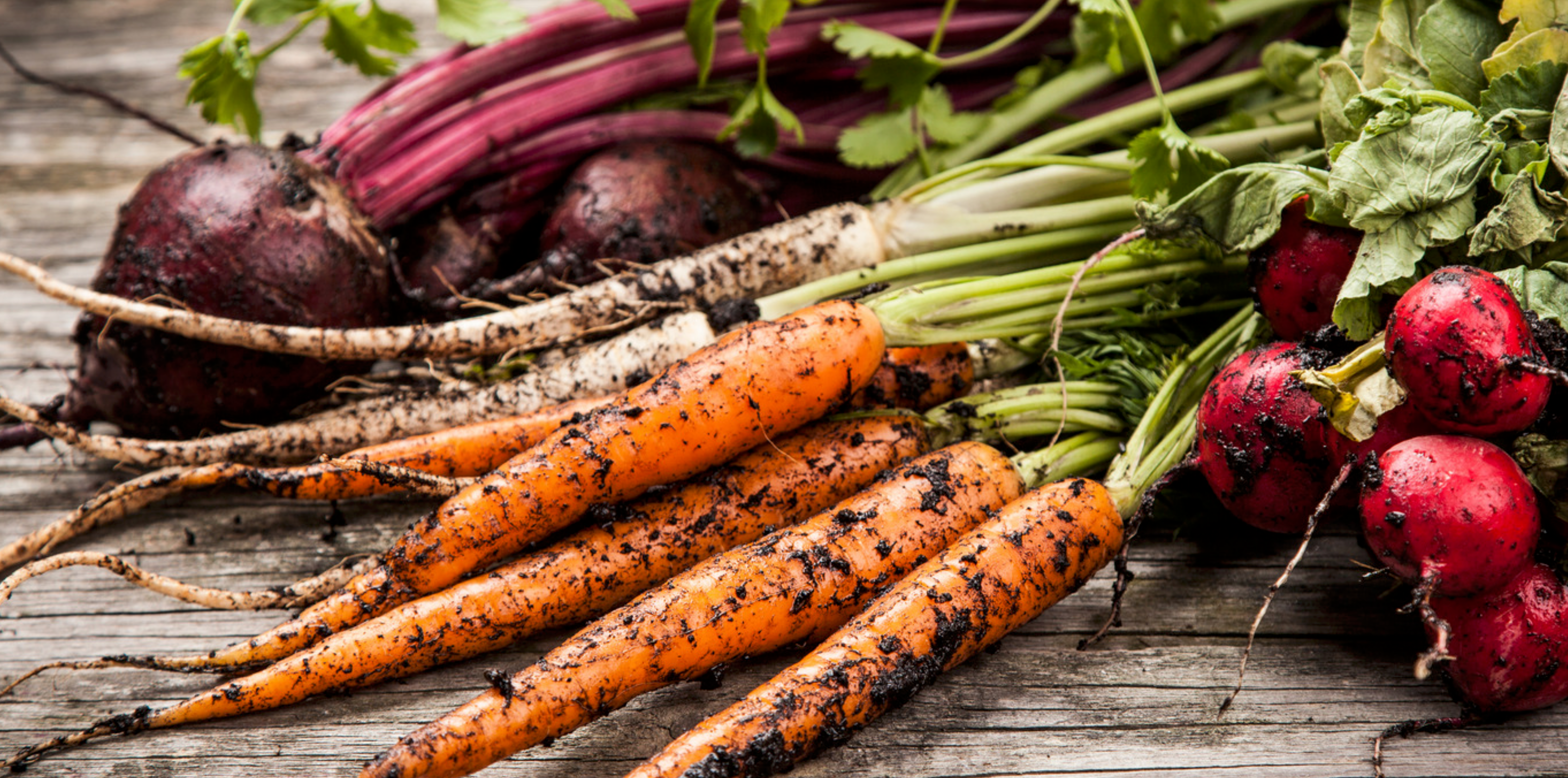 Growing Your Own Food Can Save You Money