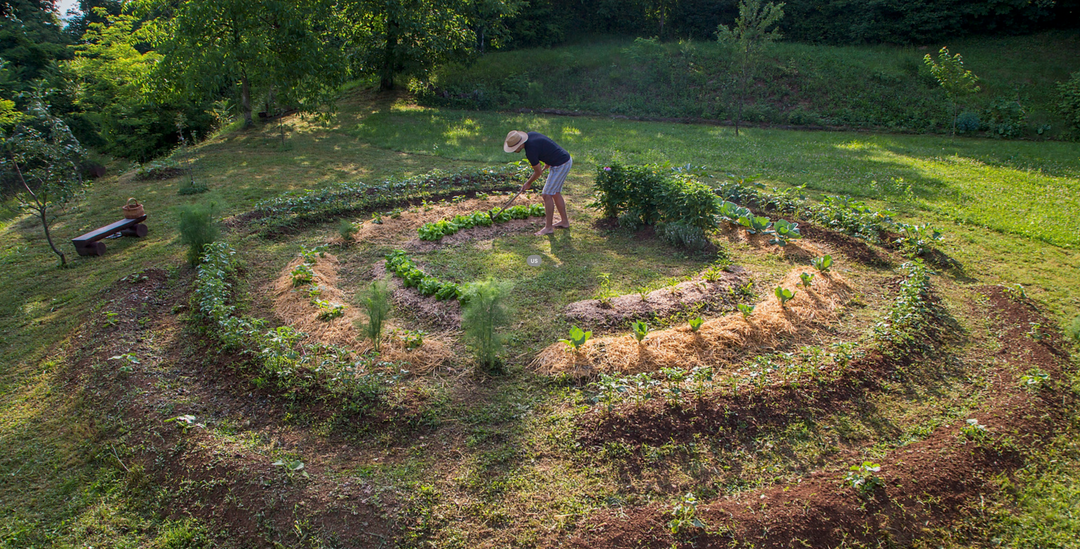Permaculture in Practice in The Garden