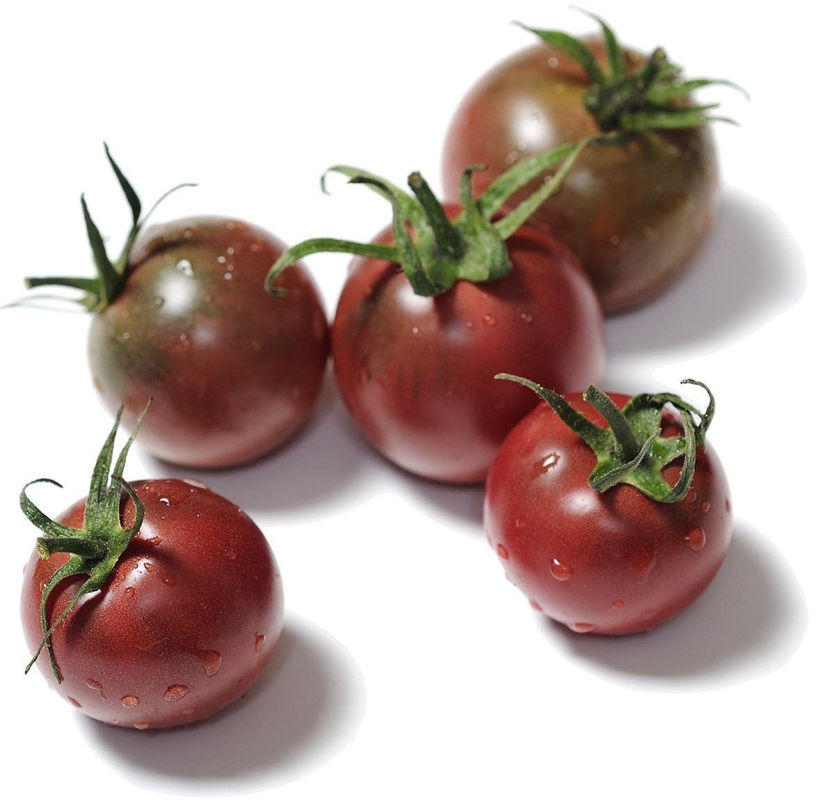 Black Cherry tomato on white background, small dark heirloom cherry tomato