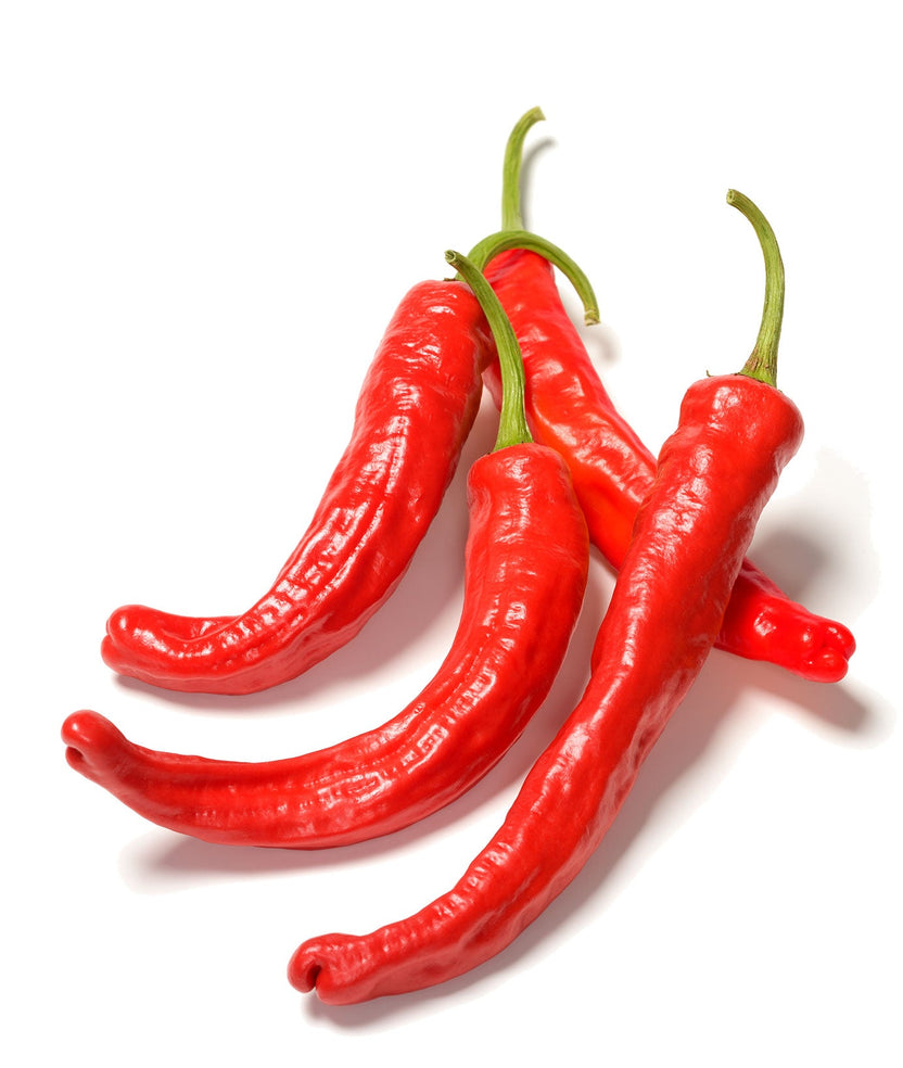 Organic Pepper Seeds Heirloom Non GMO Open Pollinated Varieties – The ...