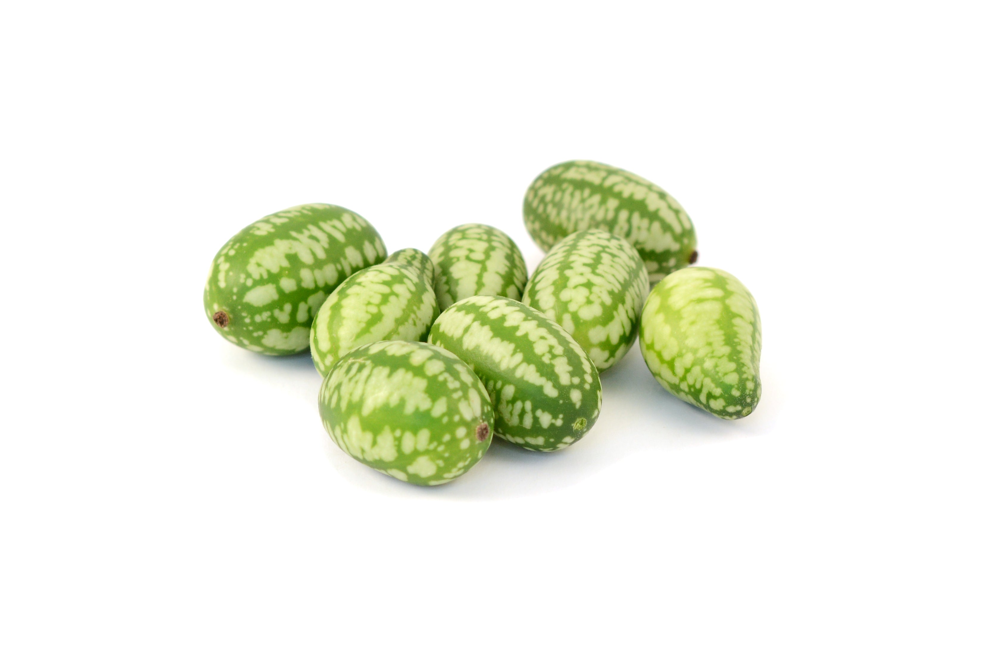 The Living Seed Company Mexican Sour Gherkin Seeds