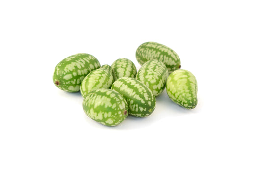 Mexican Sour Gherkin Seeds - Melothria scabra | The Living Seed Company LLC