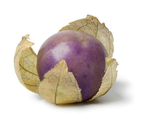 Organic Purple Tomatillo - Physalis philadelphica | The Living Seed Company LLC
