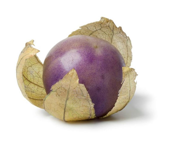 Organic Purple Tomatillo - Physalis philadelphica - The Living Seed Company LLC