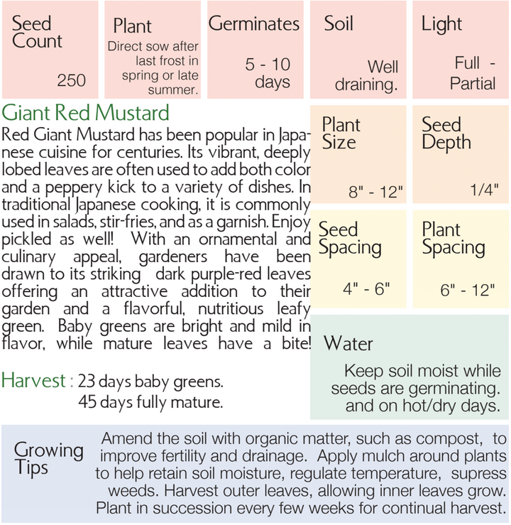 Organic Red Giant Mustard Seeds - Brassica juncea