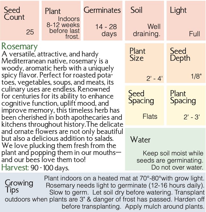 Organic Rosemary Seeds - Rosmarinus officinalis