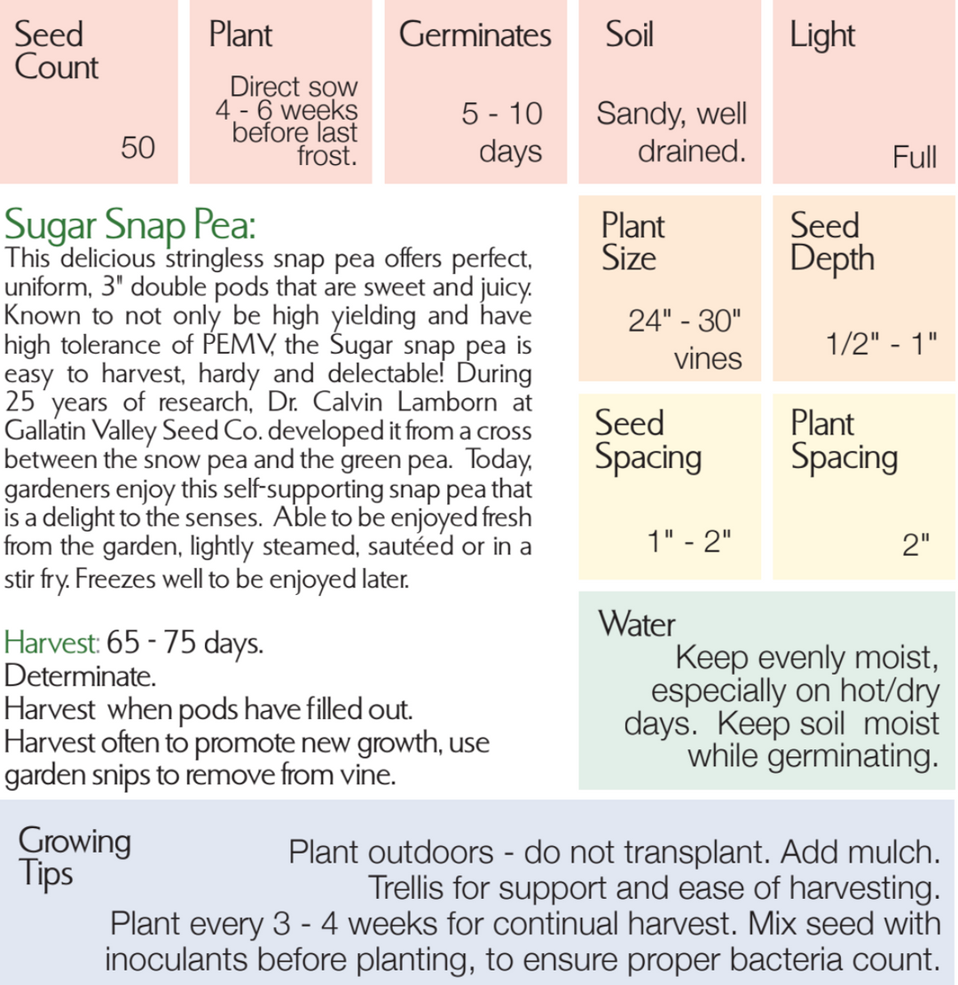 Organic Sugar Snap Pea Seeds - Pisum sativum