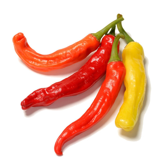 Charleston Hot Pepper Seeds - Capsicum annuum - The Living Seed Company
