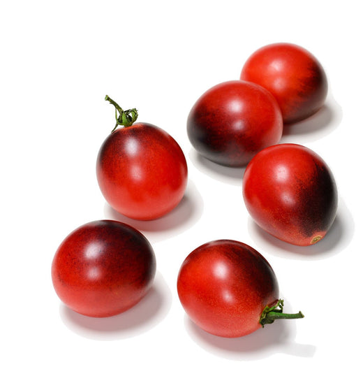 Cosmic Jewel Tomato Seeds - Solanum lycopersicum - The Living Seed Company