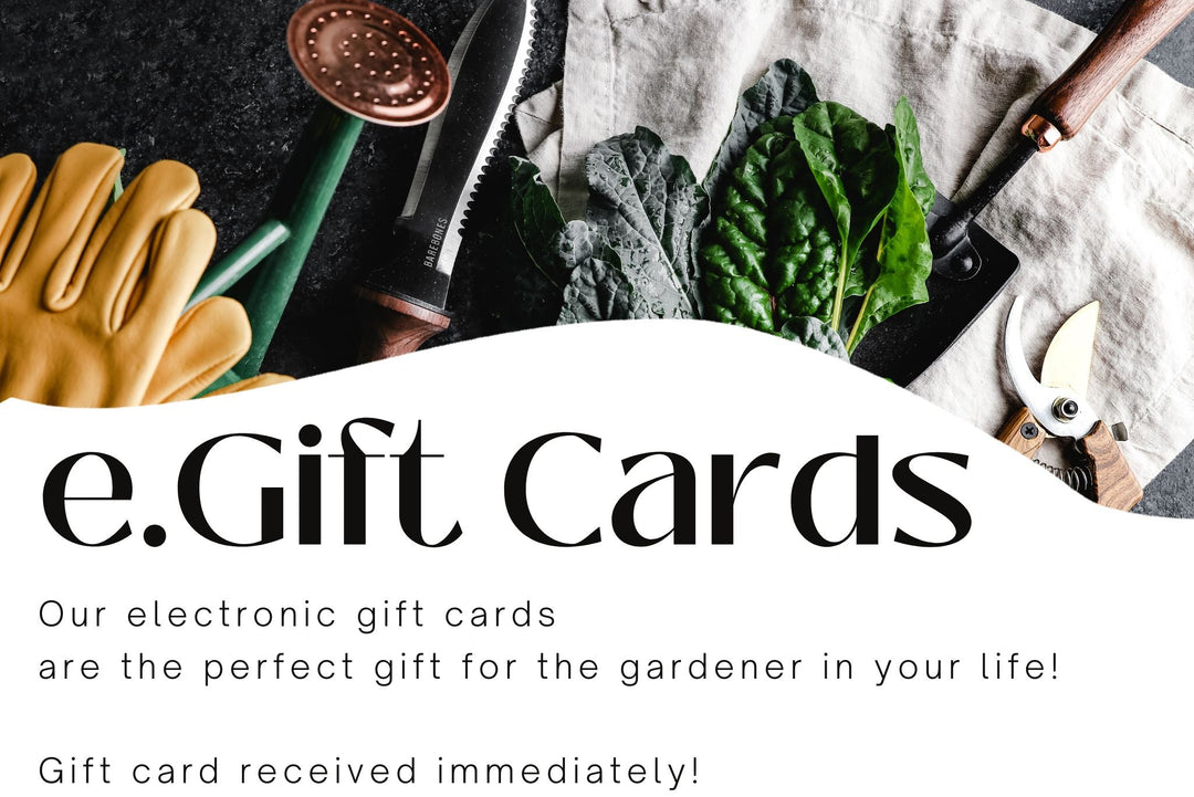rare seeds gift card e-Gift Cards for Organic, Non-GMO & Heirloom Garden Seeds