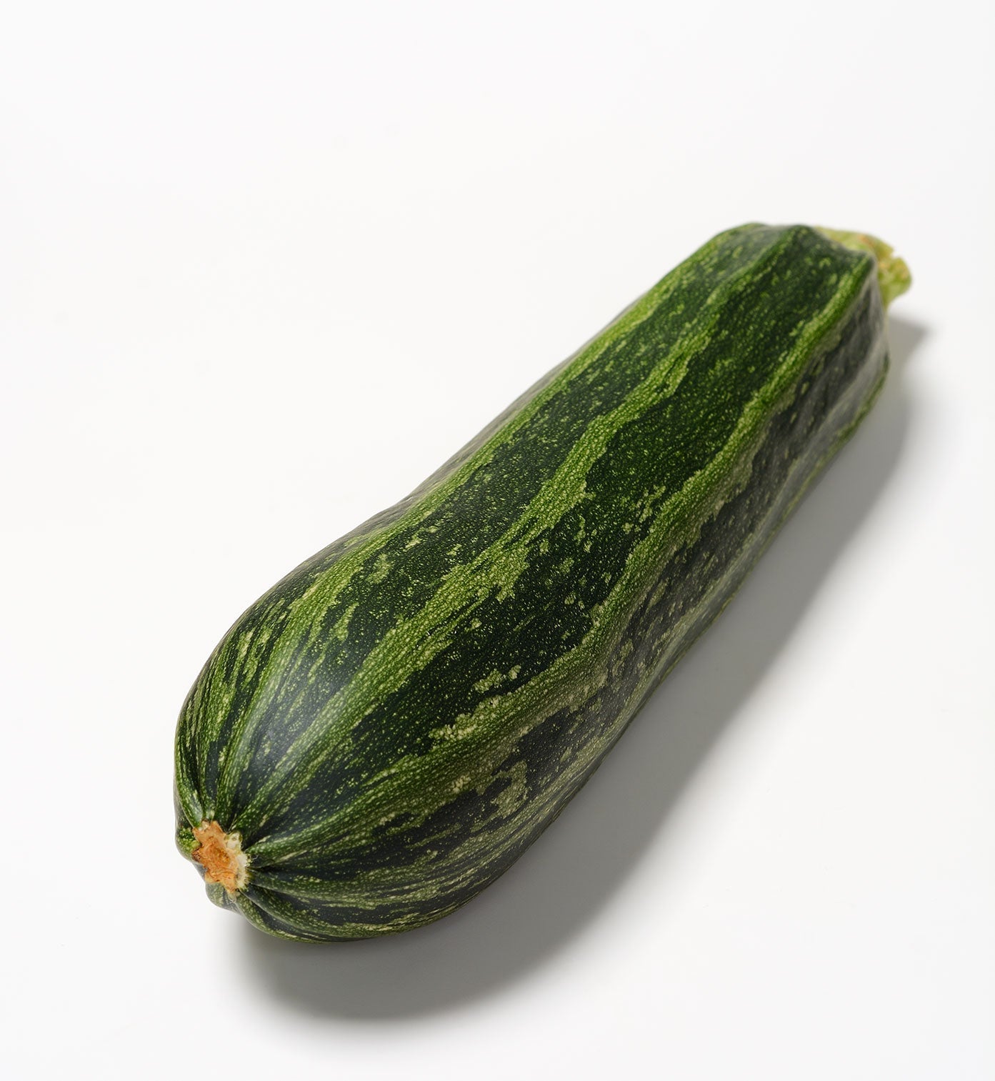 Organic Cocozelle Summer Zucchini - Cucurbita pepo The Living Seed