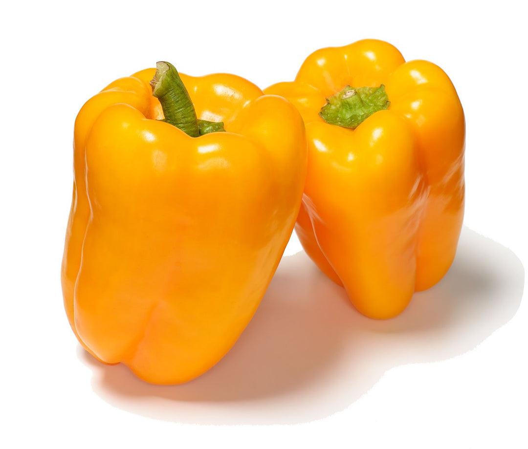 Organic Golden California Wonder Sweet Pepper Seeds - Capsicum annuum - The Living Seed Company