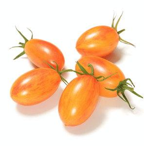 Blush Tomato - Lycopersicum lycopersicum - The Living Seed Company LLC