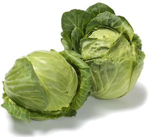 Copenhagen Market Cabbage - Brassica oleracea - The Living Seed Company LLC