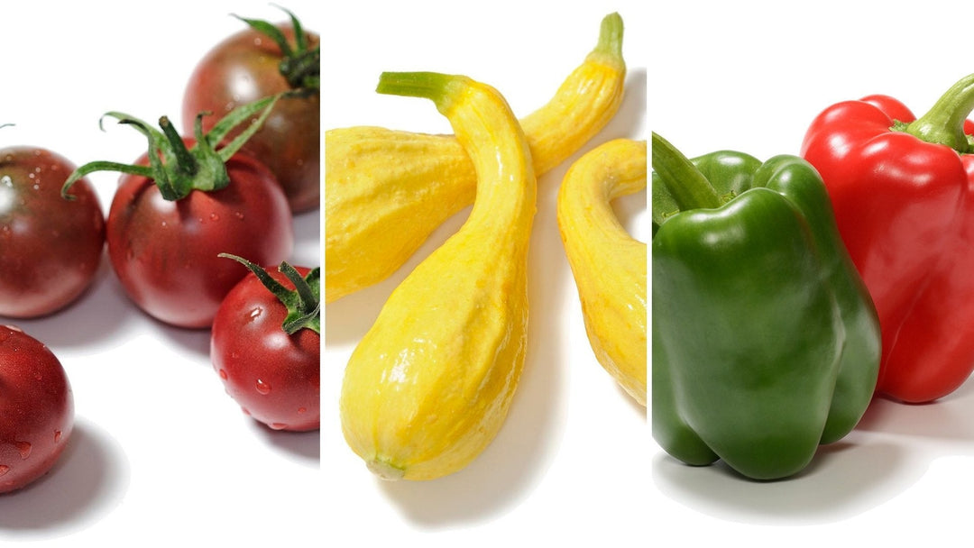 non gmo vegetable seeds and plants Organic & Non-GMO Founders Collection