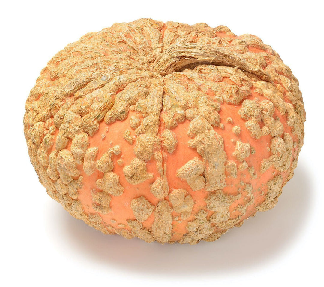 Ovoz: Ozingni sikla, kaltak. Ovoz: Ozingni sikla, kaltak.