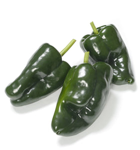 Organic Ancho Poblano Pepper - Capsicum annuum | The Living Seed Company LLC