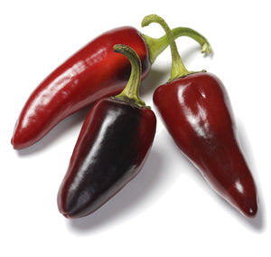 Organic Black Hot Hungarian Pepper - Capsicum annuum | The Living Seed Company LLC
