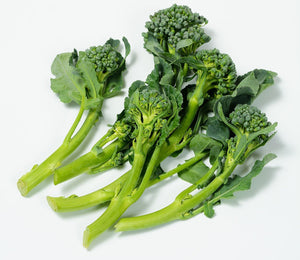 Organic Calabrese Broccoli - Brassica oleracea | The Living Seed Company LLC