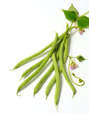 Organic, Non-GMO Cobra Bean Seeds