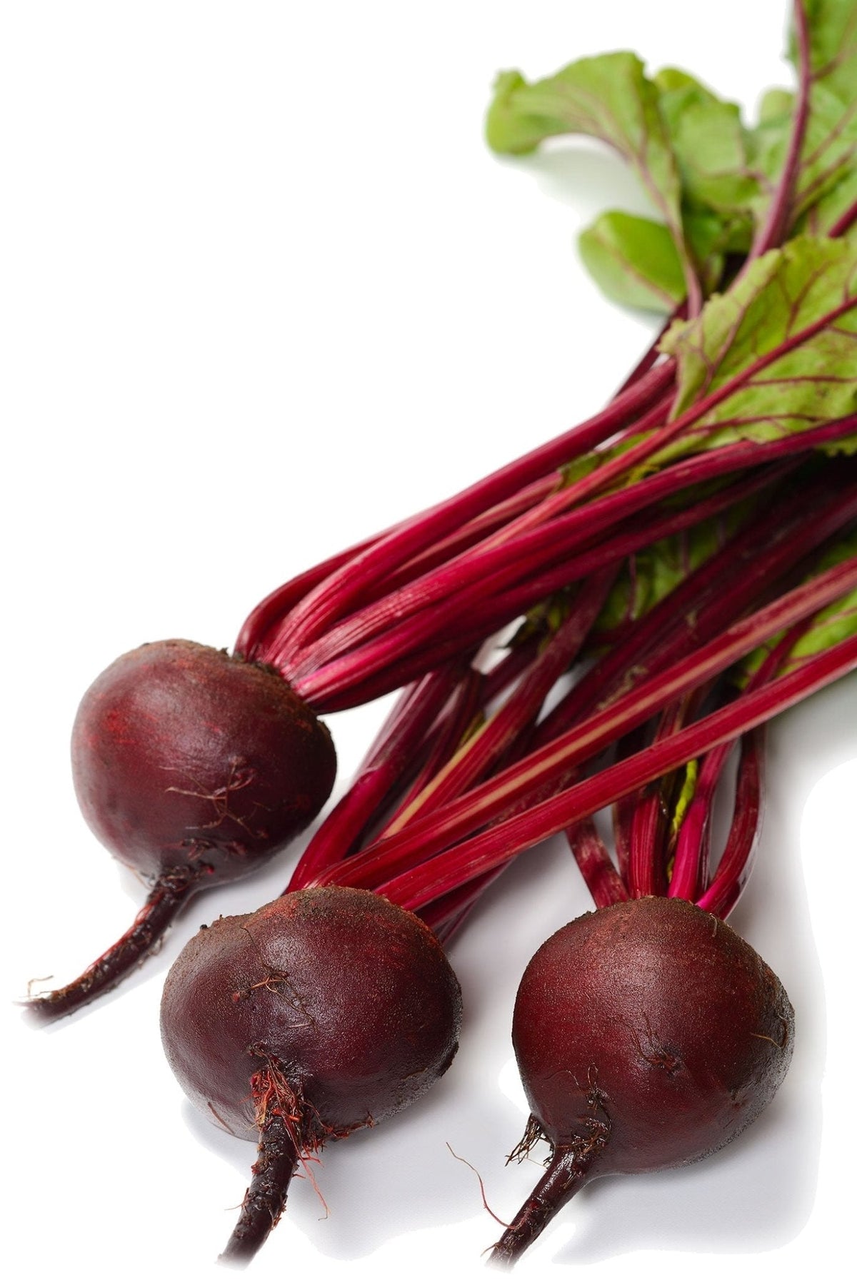 Detroit Dark Red Beet Seeds Deal deal