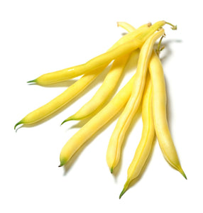 Organic Golden Wax Bean - Phaseolus vulgaris | The Living Seed Company LLC