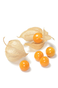 Organic Goldie Ground Cherry - Physalis pruinosa | The Living Seed Company LLC
