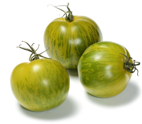 Organic Green Zebra Tomato - Lycopersicon lycopersicum - The Living Seed Company LLC