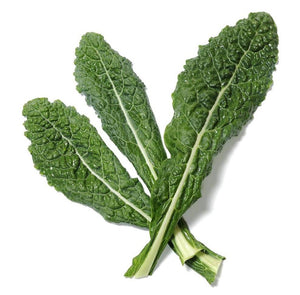 Organic Lacinato Kale - Brassica oleracea - The Living Seed Company LLC