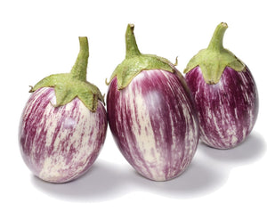 Organic Listada De Gandia Eggplant - Solanum melongena | The Living Seed Company LLC