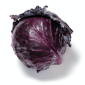 Organic Mammoth Red Rock Cabbage - Brassica oleracea - The Living Seed Company LLC