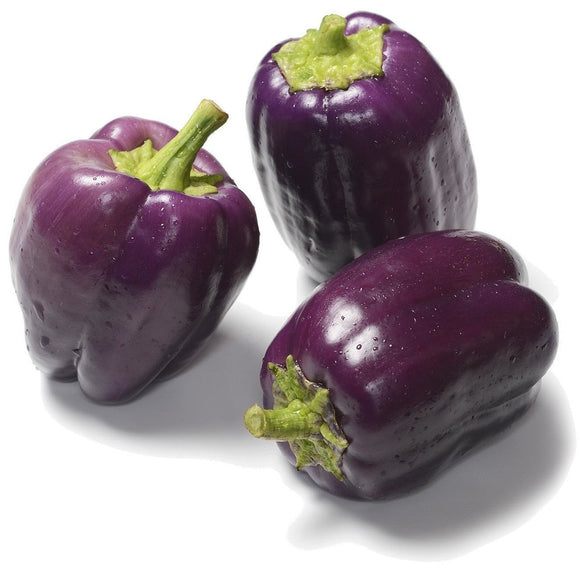 Organic, Non-GMO Purple Beauty Sweet Pepper Seeds