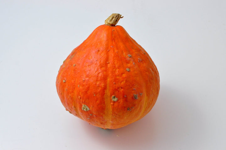 Organic Red Kuri Winter Squash Seeds (Hokkaido) – Heirloom, Non-GMO ...