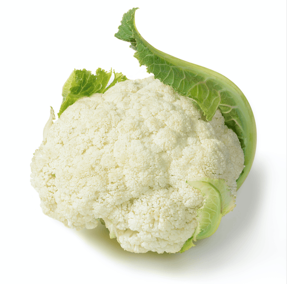 Organic Snowball Cauliflower - Brassica oleracea - The Living Seed Company LLC