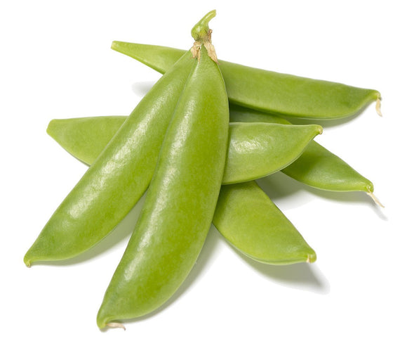 Organic Sugar Snap Pea - Pisum sativum - The Living Seed Company LLC
