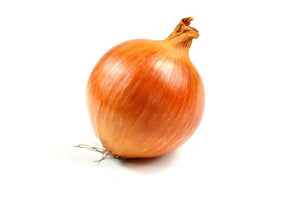 Organic Valencia Onion - Allium cepa - The Living Seed Company LLC