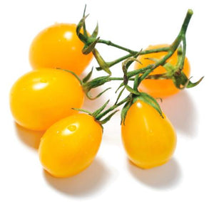 Organic Yellow Pear Tomato - Lycopersicon lycopersicum - The Living Seed Company LLC