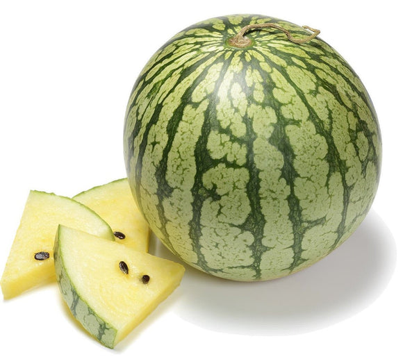 Petite Yellow Watermelon Seeds (Citrullus lanatus) | The Living Seed Company LLC