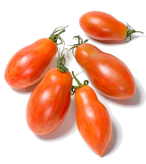 Prairie Fire Tomato Seeds - Solanum  lycopersicum | The Living Seed Company LLC