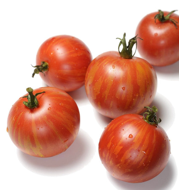 Tiger Tomato - Lycopersicon lycopersicum - The Living Seed Company LLC