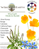 Wise Earth Medicine Bundle | The Living Seed Company LLC