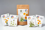 Wise Earth Medicine Bundle - The Living Seed Company LLC